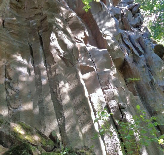 Discovering the Climbing Gems of Broughton Bluff: A Portland Favorite